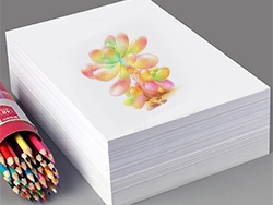 02. Wood-Free Paper.webp